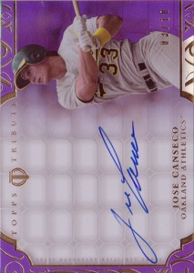 2015 Tribute Purple Autograph /10        