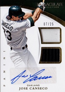 2015 Immaculate Jersey / Glove / Autograph /25        