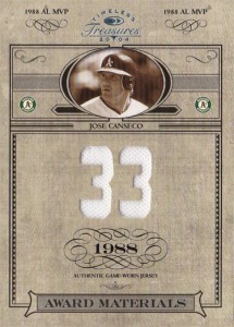 2004 TIMELESS TREASURES AWARD JERSEY /33           