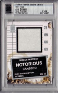 2010 Famous Fabrics Notorious Jersey /9