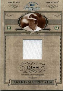 2004 Timeless Treasures Award Jersey /88         