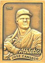 1989 Topps Gallery of Champions Bronze #500 